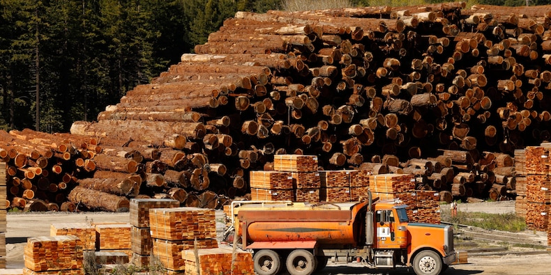 lumber-prices-are-at-a-7-month-high-and-are-set-to-stay-elevated-on-the-back-of-3-key-trends,-an-expert-says