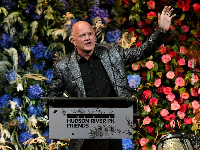 bitcoin-billionaire-mike-novogratz-says-plunging-crypto-will-have-a-hard-time-rallying-until-stocks-find-a-base