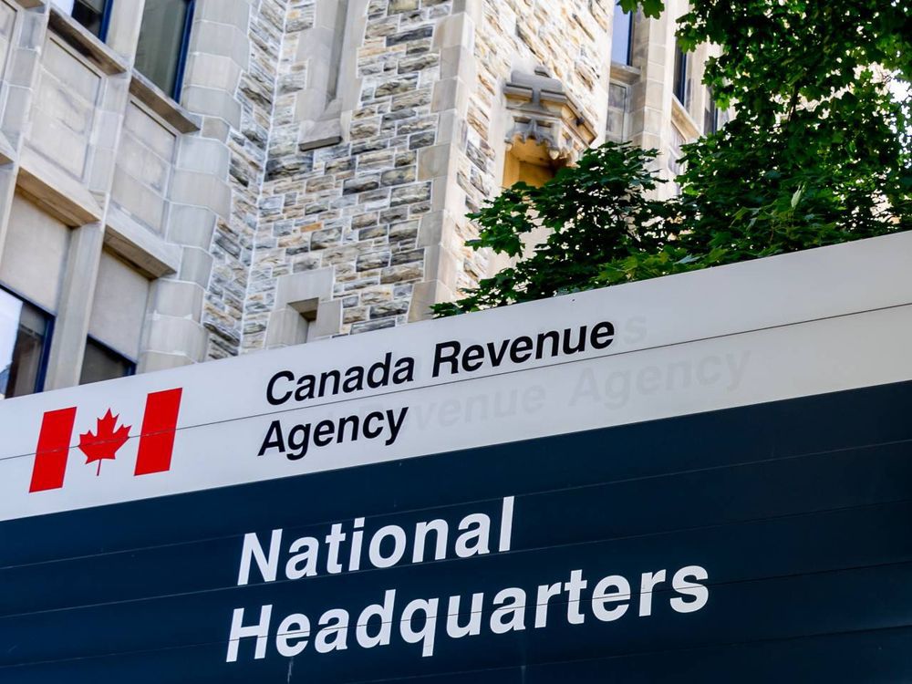 new-to-canada,-or-the-workforce?-here’s-what-to-know-about-filing-taxes