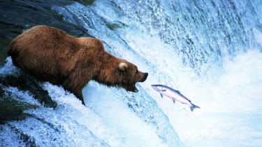 the-10-best-stocks-for-a-bear-market-|-kiplinger