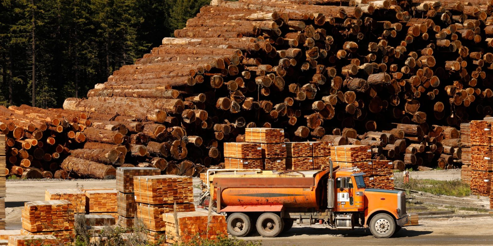 lumber-prices-plunge-12%-to-new-2022-lows-as-wood-inventories-start-to-pile-up