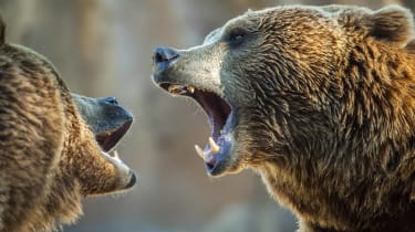 the-12-best-etfs-to-battle-a-bear-market-|-kiplinger