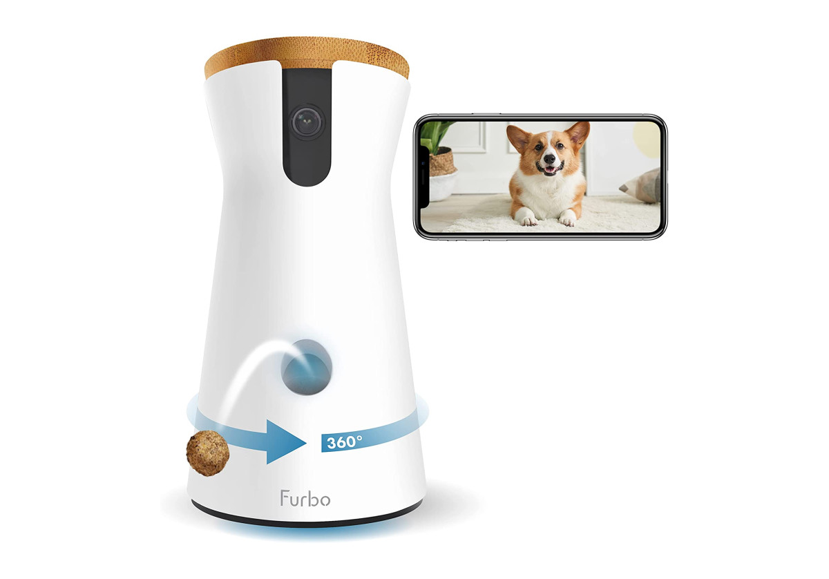 this-treat-tossing-camera-is-a-must-have-for-traveling-dog-parents