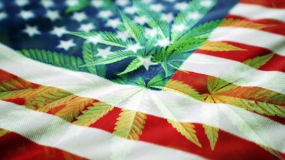 this-week-in-cannabis-investing:-weed-legalization-gains-ground-in-midterms