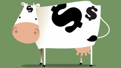 best-cash-cows-to-buy-now