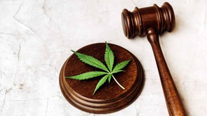 safe-banking-act-finds-support-as-senate-hearings-begin:-this-week-in-cannabis-investing