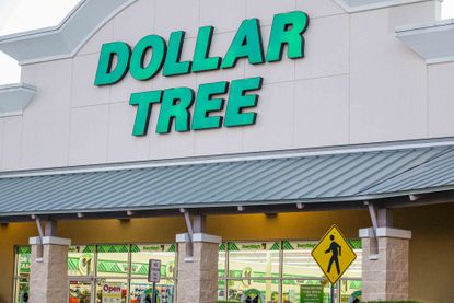 dollar-tree-eyes-higher-income-shoppers,-q2-sales-rise