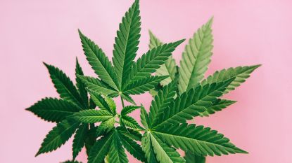 cannabis-use-picks-up-in-young-adults:-this-week-in-cannabis-investing