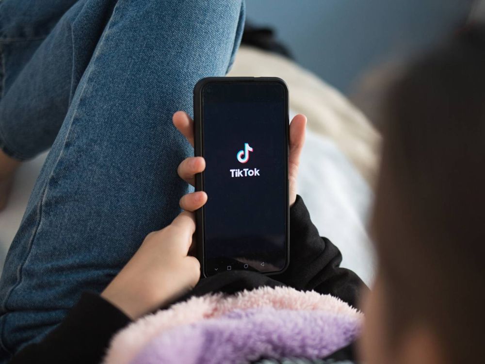 tiktok-is-a-swamp-of-bad-financial-advice,-and-experts-are-fighting-back-some-smart-and-savvy-users-are-cutting-through-the-hype-on-tiktok-and-instagram